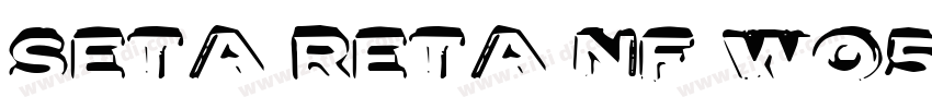 Seta Reta NF W05 Re字体转换